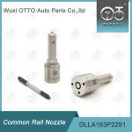 DLLA163P2291 Common Rail Nozzle For Injector 0445110476/477 0986435241