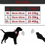 Lightweight Multi Size Polyester Pet Collars Leashes M XL S L Size