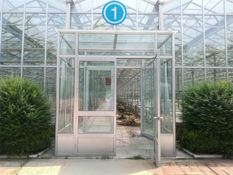 Super Strong Resistance Venlo Glass Greenhouse for Commercial Agricultural Turnkey Project