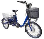 36V 250W Motor 3 Wheel Cargo Bike Tricycle Electric For Adult Derailleur 3 Speed