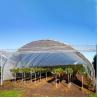 Buy cheap High Yield Plastic Film Agricultural Greenhouse Grown Strawberries Rain Shelter from wholesalers