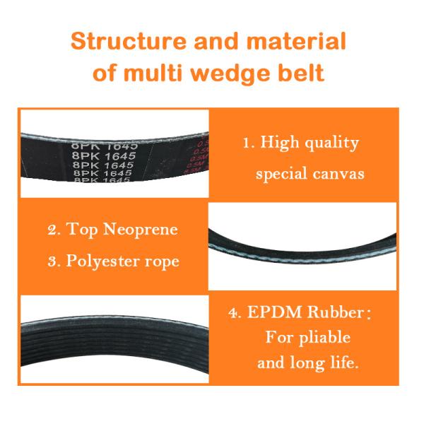 Buy cheap OEM 3015259 Multi Wedge Belt For MITSUBISHI 8PK1645 from wholesalers
