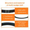 Buy cheap OEM 3015259 Multi Wedge Belt For MITSUBISHI 8PK1645 from wholesalers