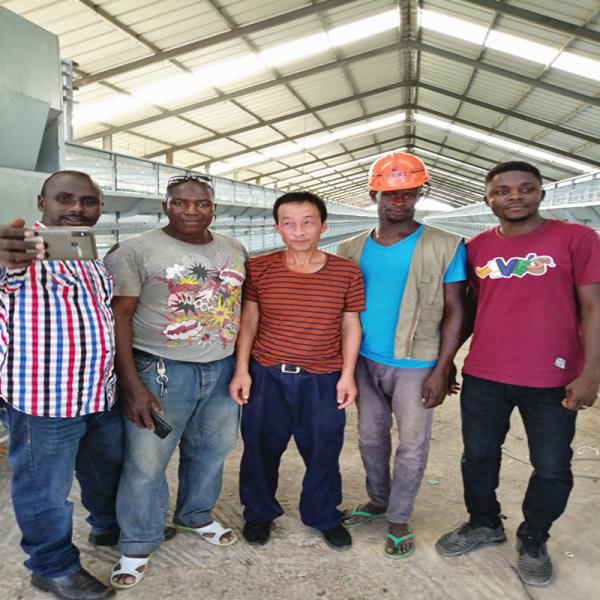 Buy cheap Modern Automatic 144 Birds Laying Battery Hen Cage Poultry Farming Equipment from wholesalers