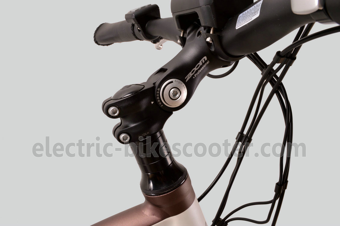 Electric Powered Mid Motor Electric Mountain Bike 10.4Ah Shimano RD-TX55