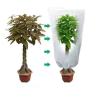Buy cheap Windproof Winter Tree Cover Bag Durable , Anti Freeze Frost Bags For Trees from wholesalers