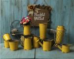 Europe Style Antique Iron Flowerpot Floor Bucket