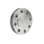 Hastelloy Flanges C-276 C-22 Finishing WN RF Blind Flange For Industrial