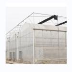 Multi Span Agricultural Greenhouses With PE Film Covering And Gutter Connection