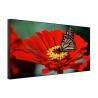 Buy cheap Floor Stand Touch Screen Wall Monitor , Super Clear Multi Touch Wall Display from wholesalers
