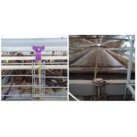 Buy cheap Large Capacity Layer Bird Cage , Furnished Cages For Laying Hens / Duck product