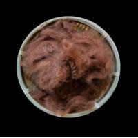 Buy cheap Colored Solid Dope Dyed Polyester Staple Fiber Eco Friendly For Spinning product