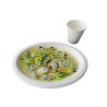 Buy cheap 10 Inch 17g Eco Friendly Sugarcane Paper Plates from wholesalers