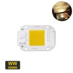 LED Cob Chip 50w Driverless AC 220V Troubleshooting Assistance