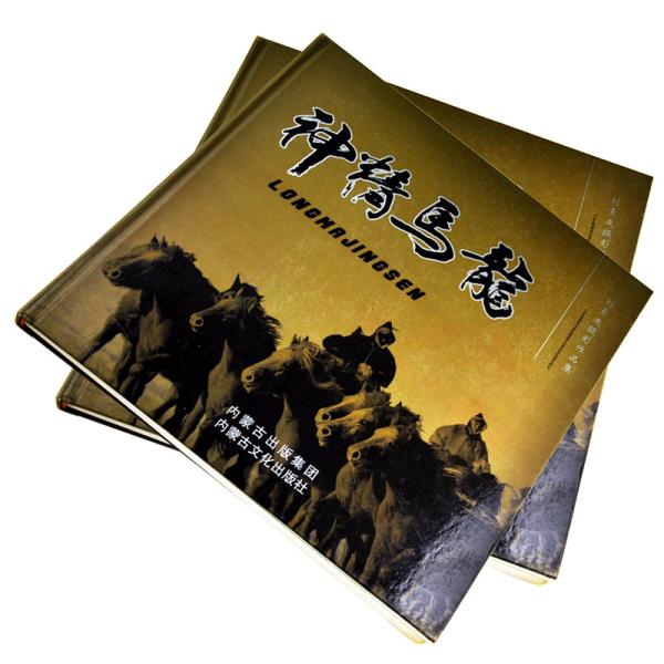 Buy cheap Glossy C2S Fine Art Paper Hardcover Book Printing Spot UV Finishing Photograph from wholesalers