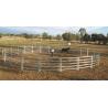 Buy cheap 12m Diameter Horse Round Yard Panel 17Pcs incl. 3m tall Gate 30X60MM from wholesalers