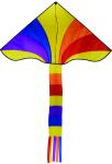 Personalized Delta Wing Kite Various Color For Children Playing 100% Nylon
