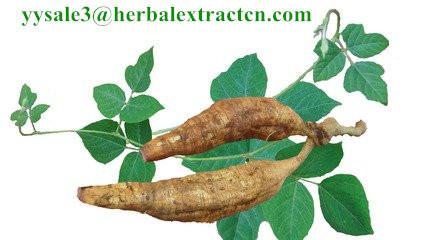 Buy cheap Kudzu Root extract, Isoflavones 40%, CAS No.: 3681-99-0, Auxiliary lower blood pressure, Arctium Extract, Chinese Extrac from wholesalers