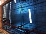 Mirror Finished Stainless Steel Sheet Manufacturers, Suppliers Exporters In