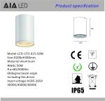 IP65 waterproof outside round DALI dimmable 50W COB LED down light&outdoor LED