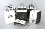 Custom Printed Kraft Paper Take Away Food Packaging Bags for Industrial at