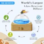 Solid Wood Glass Aroma Diffuser▕ DN-839