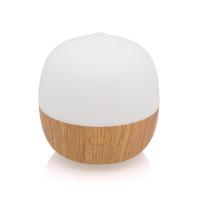 Buy cheap Bedroom Quiet Wifi Smart 100ml Remote Control Humidifier product