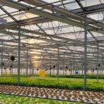 Type Roof Glass Commercial Greenhouse Hydroponic Setup for Year-Round Availabili