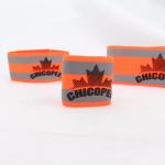 Customized Logo Nylon Reflective Safety Dog And Cat Band , Pet Band For Night