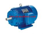 Generator Motor Ye3 Super High Efficiency Electric Motor construction machinery