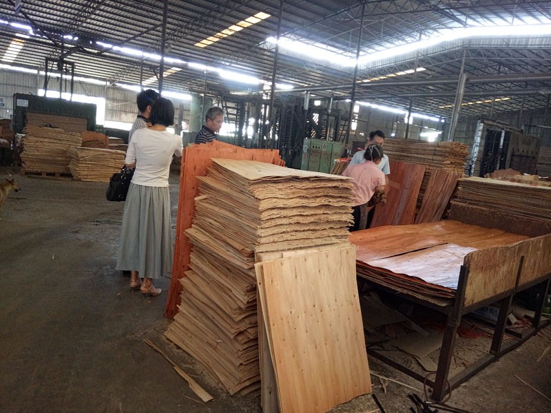 Finger Jointed Core Poplar 20mm Film Faced Plywood