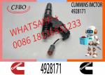 Fuel Injecteur Injector 4903319 4903472 4928171 For Cummins M11 INJECT PUMP