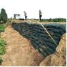 Buy cheap Polypropylene Geobag for Slope Protection and River Regulation on Barren Mountains from wholesalers