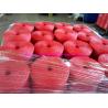 Buy cheap Professional Twisted Tomato Tying Modern Greenhouse Twine 1mm , Plastic Baling Twine from wholesalers