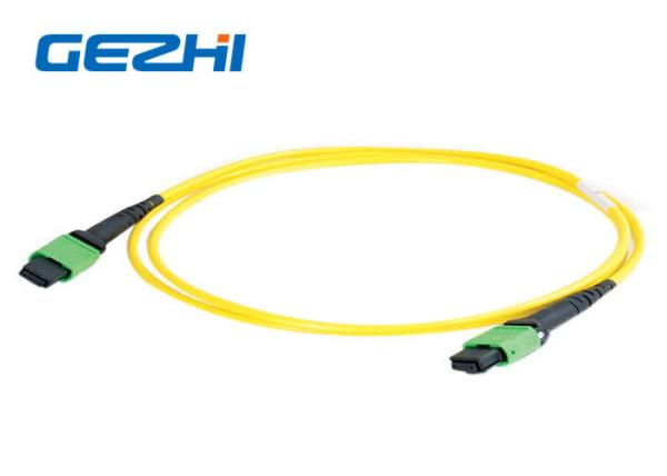 Buy cheap Single Mode 12 Fiber Patch Cord Accessories , MPO Patch Cord Truck Cable Jumper from wholesalers