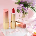Buy cheap Square / Round Makeup Tool Set Empty Lipstick Tube Container Customizable from wholesalers