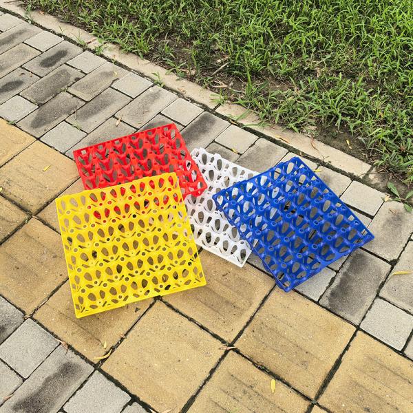 Buy cheap Versatile Sturdy Reusable Plastic Egg Cartons Egg Packing from wholesalers