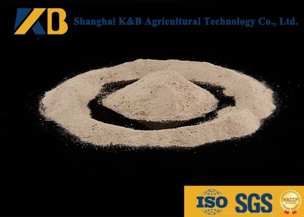 Buy cheap Non GMO 60% Content Rice Protein Powder Ease Digestible Neutral Odor And Flavor from wholesalers