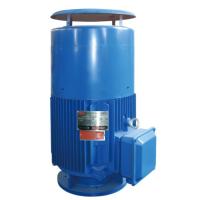 Buy cheap VHS hollow shaft motor IP54 product
