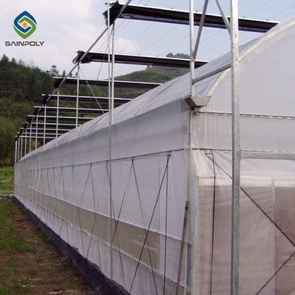 Buy cheap Agriculture Planting Large Plastic Film Multi Span Greenhouse 5.3m from wholesalers
