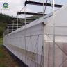 Buy cheap Agriculture Planting Large Plastic Film Multi Span Greenhouse 5.3m from wholesalers