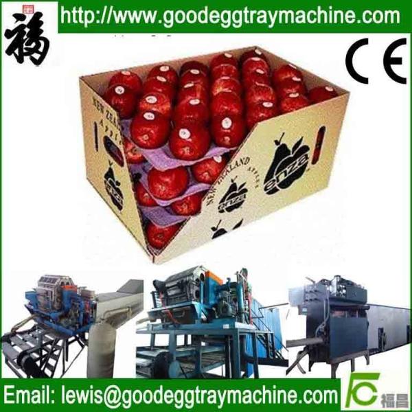 Buy cheap Fruit Tray Production Line from wholesalers
