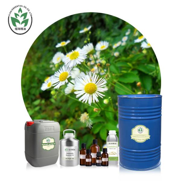 Buy cheap Pain Relief Pure Orgnic Chamomile Essential Oil Candle Making from wholesalers