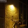 Buy cheap Wall Mounted Solar Wall Lamps 8-10 Hours Working Time And 3.7V 2200mA Battery Capacity For Eco-friendly Outdoor Lighting from wholesalers