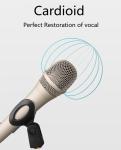 176g Handheld Studio Condenser Microphone For Vocals 3mA CE ROHS