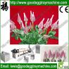 Buy cheap Fruit or vegetables packaging Net Production Line(FC-75) from wholesalers