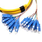 SC UPC 24 Cores Fiber Optic Pigtail OFNR W/2 Bundles Fiber Breakout Cable OS2