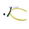 Buy cheap PVC 3.0mm MTP MPO Breakout Cable High Return Loss For High Density Data Centers from wholesalers