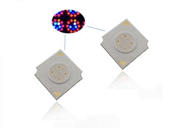 Buy cheap Multi Wavelength 4W Led Grow Light 1414 COB Led Chip 450nm Size 14*14mm from wholesalers
