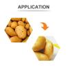 Buy cheap Pp Onion Garlic Carrot Mesh Bag Packing Machine Stainless Steel 304 Material from wholesalers